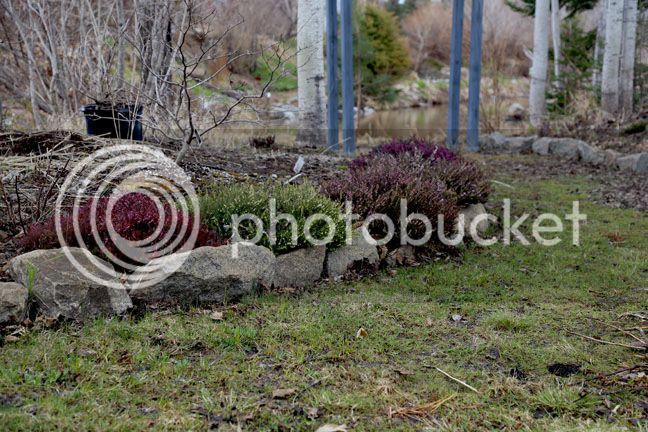 Bersimis2015_0024_zpscecrvm8r.jpg