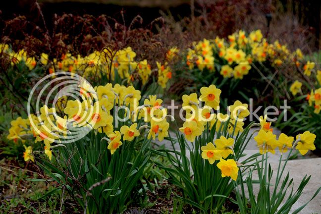 Bersimis2015_0032_zps47ekuahn.jpg