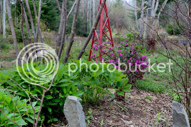 Bersimis2015_0037_zpsrb6tulor.jpg