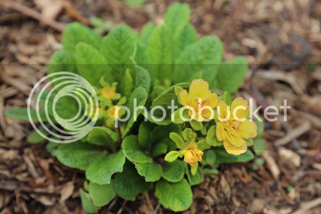 Bersimis2015_0068_zpszfgw4rxj.jpg