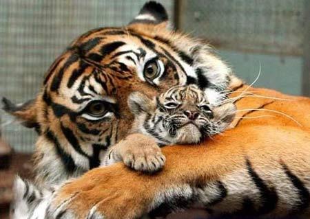best-mom-4.jpg