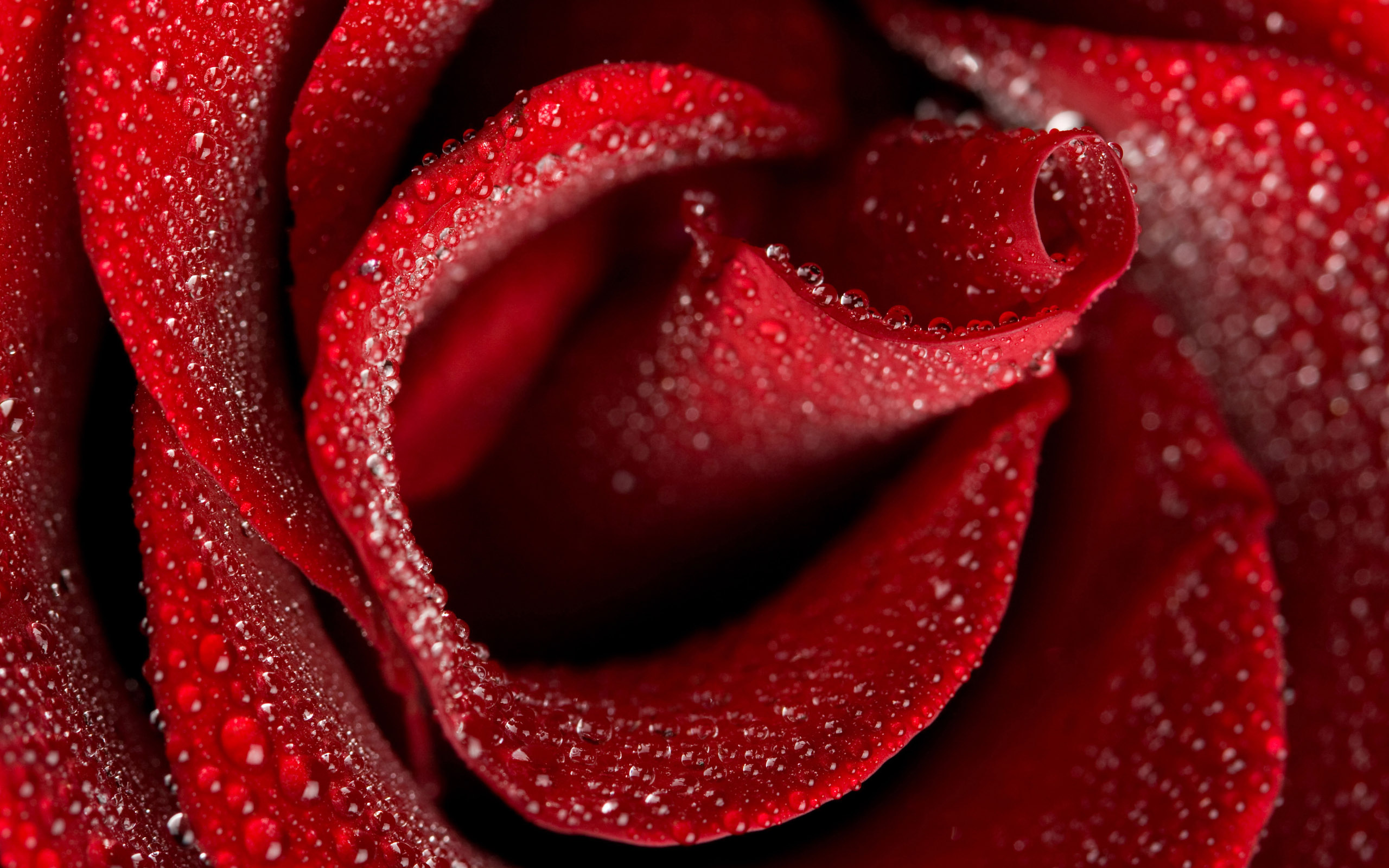 BestHDWallpapersPack704_143.jpg