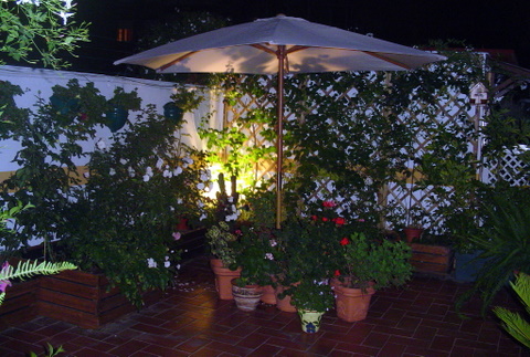 bfi1189985811p.JPG