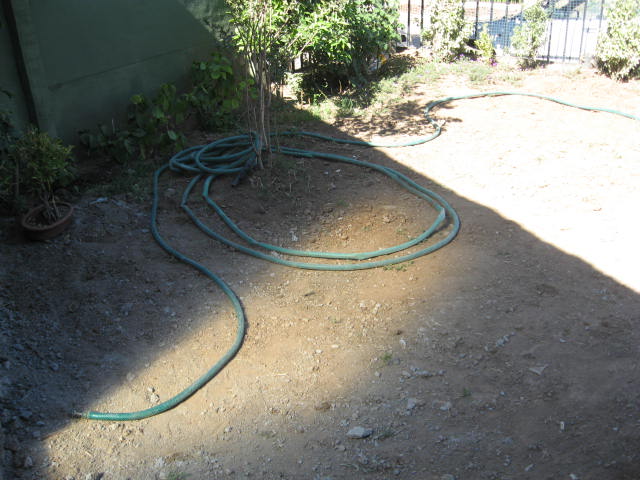 bfi1196630019w.JPG