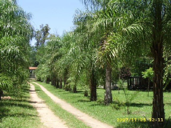 bfi1200362495o.jpg