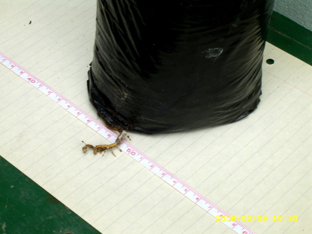 bfi1202912581a.jpg