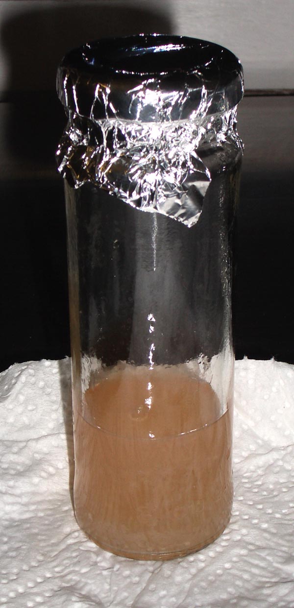 bfi1207156468o.jpg