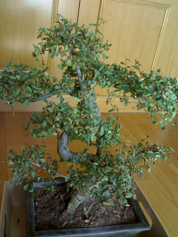 bfi1208342012z.jpg