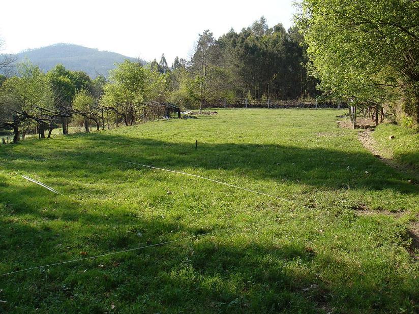 bfi1209937257v.JPG