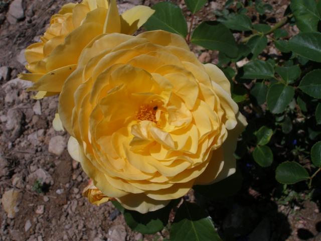 bfi1211120769h.jpg