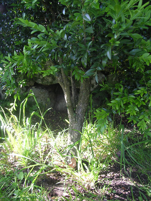 bfi1212092215o.jpg