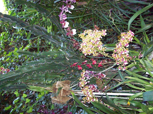 bfi1212140624b.jpg