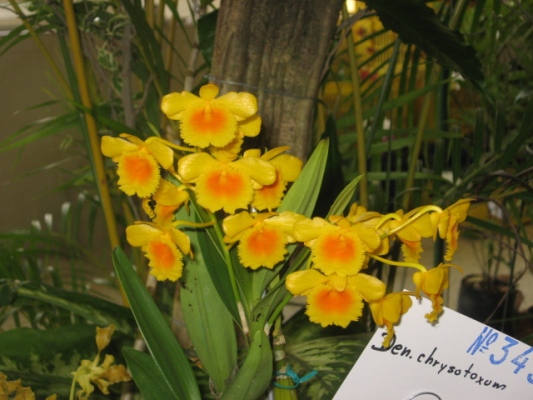 bfi1212285652w.JPG