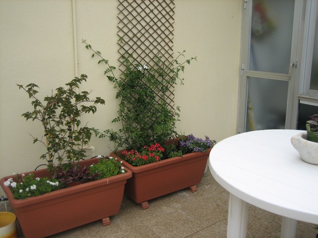 bfi1212352530z.JPG