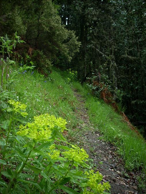 bfi1212683227o.JPG