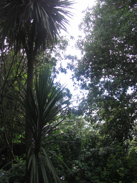 bfi1212745321n.jpg