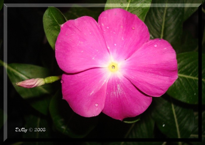 bfi1212793880l.jpg