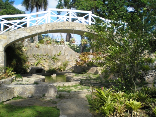 bfi1212887956m.JPG