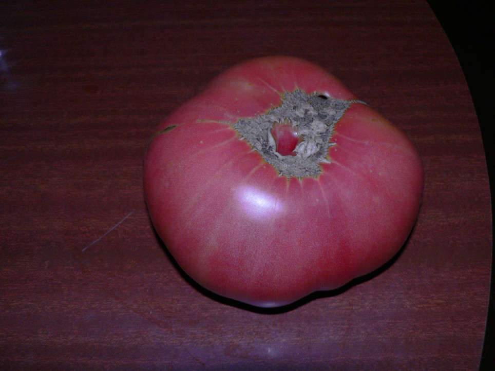 bfi1217232692v.JPG