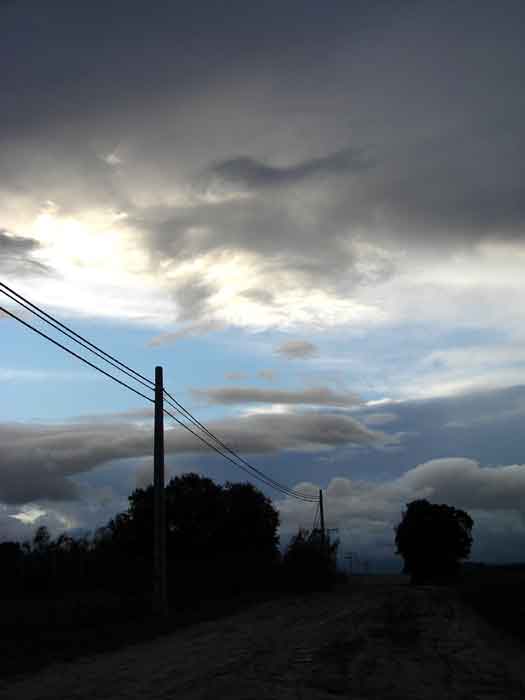 bfi1219259080m.jpg