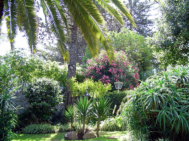 bfi1220129781v.JPG