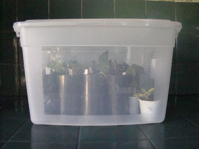 bfi1223942142w.JPG