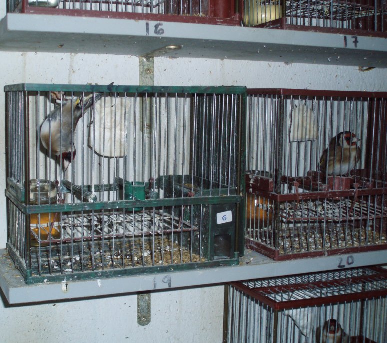 bfi1233962636v.JPG