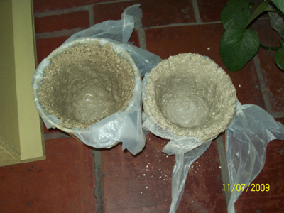 bfi1247695807d.jpg