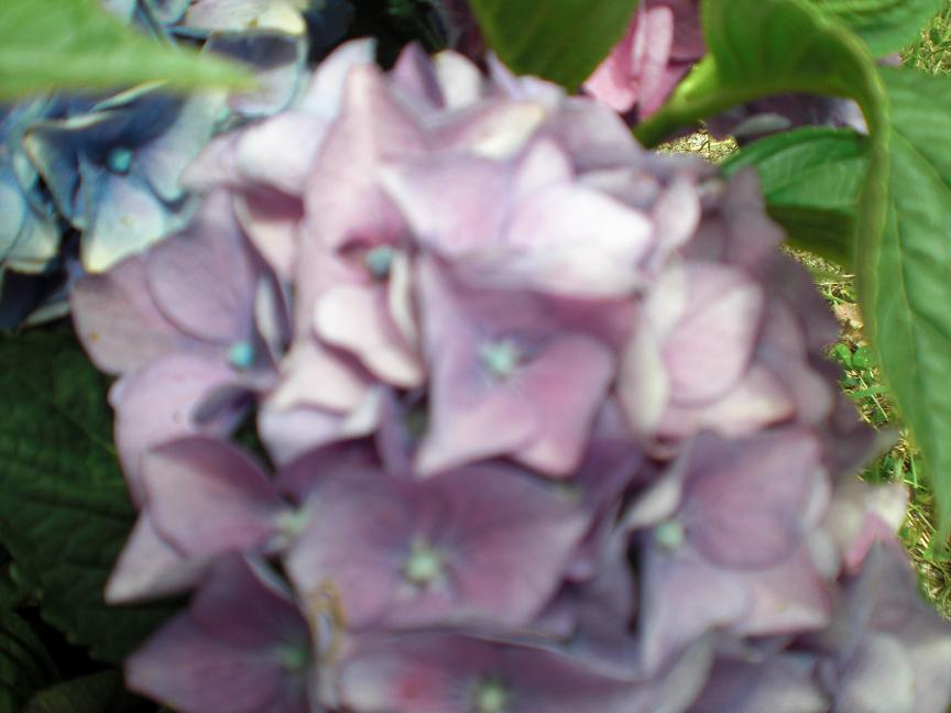 bfi1247712050v.JPG