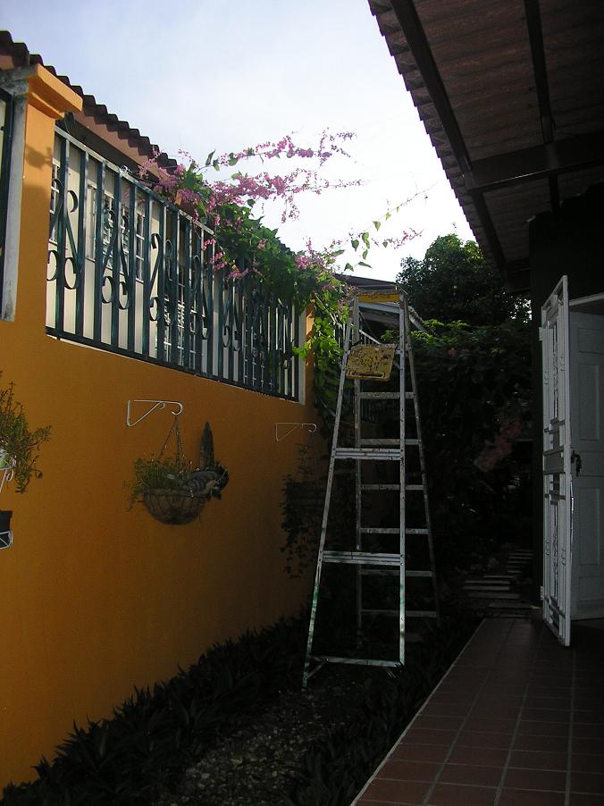bfi1249931458y.JPG