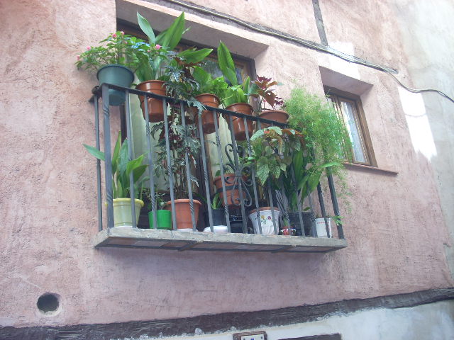 bfi1250215770u.JPG