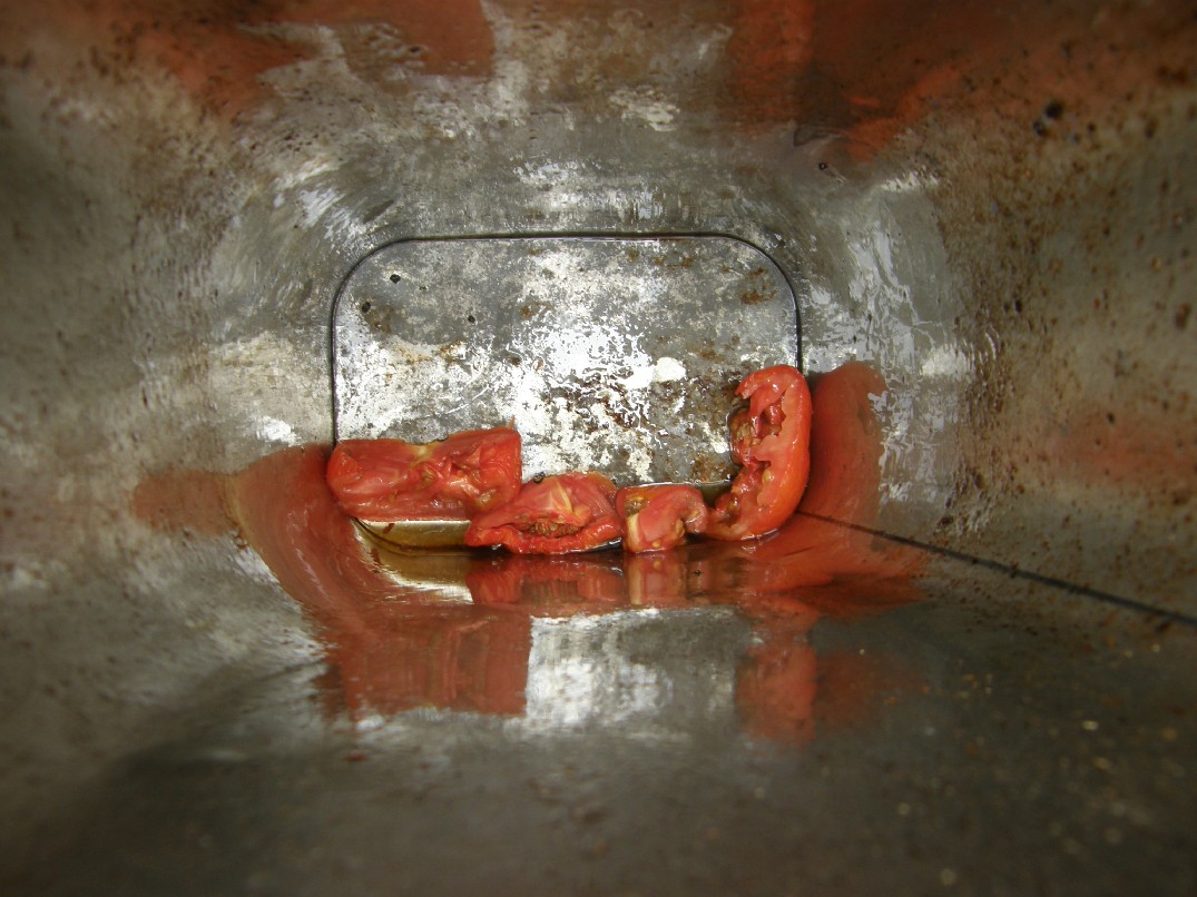 bfi1254447709c.JPG