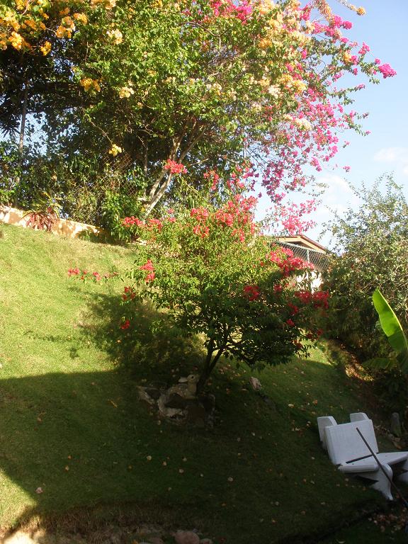 bfi1262933909u.JPG