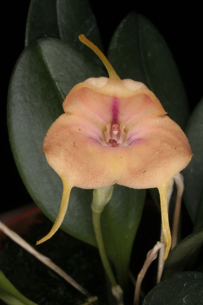 bfi1269561885v.jpg