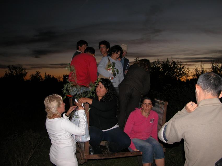 bfi1270508211a.jpg