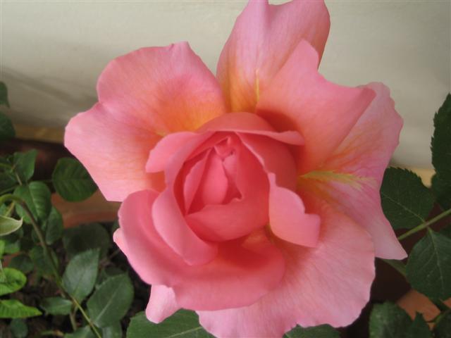 bfi1273311350d.JPG