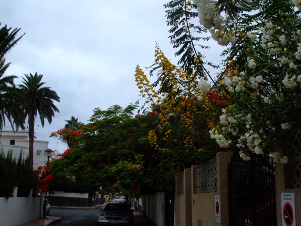 bfi1279594698h.JPG