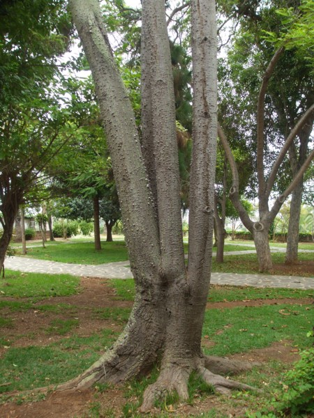 bfi1280206231i.JPG