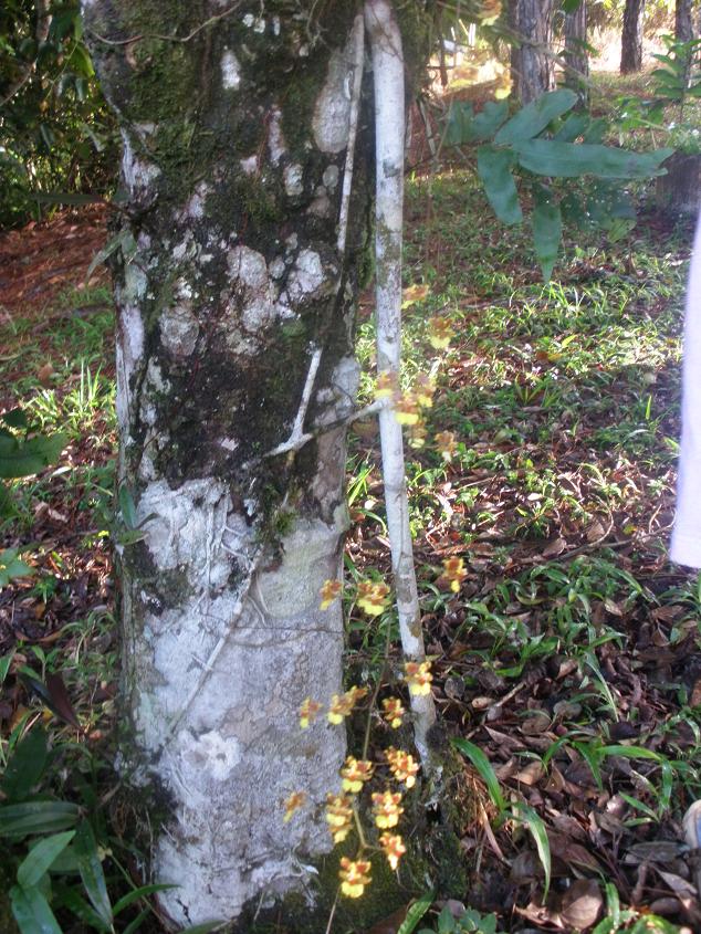 bfi1283277796v.JPG