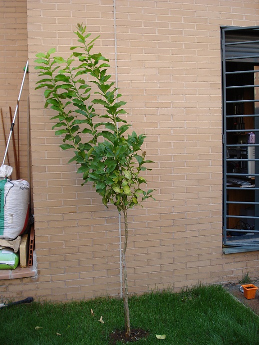 bfi1284774582x.JPG