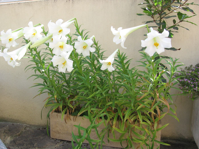 bfi1288440720d.jpg