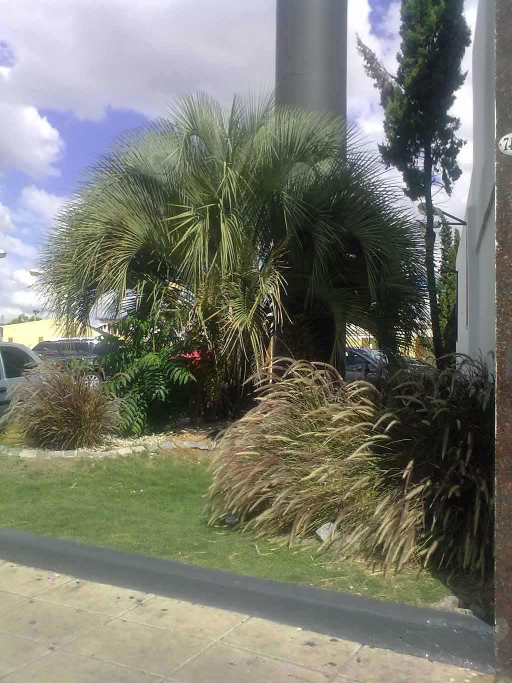 bfi1297099163j.jpg