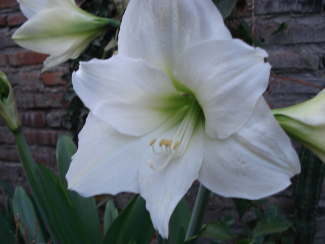 bfi1299888354n.JPG