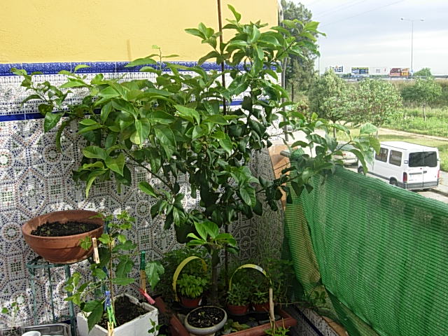 bfi1307282937s.JPG