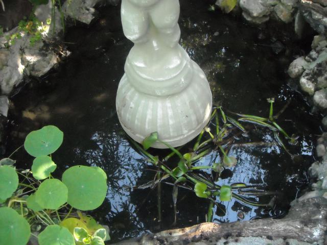 bfi1310596680i.jpg