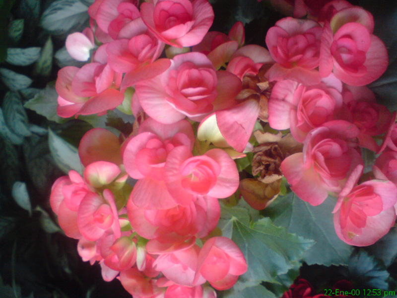bfi1310607347m.JPG