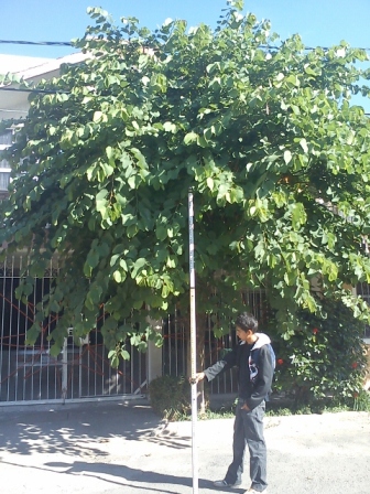 bfi1311882065a.jpg