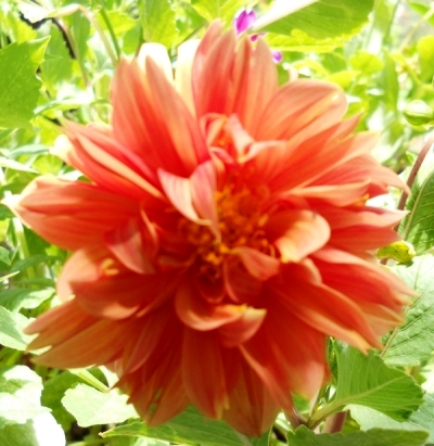 bfi1311972597s.jpg
