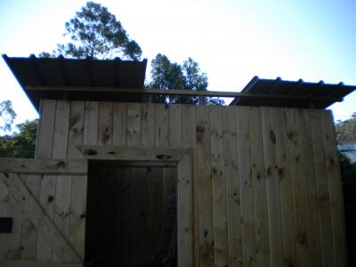 bfi1312236361b.JPG