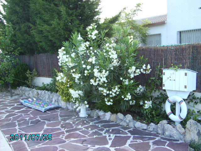bfi1312278780r.JPG